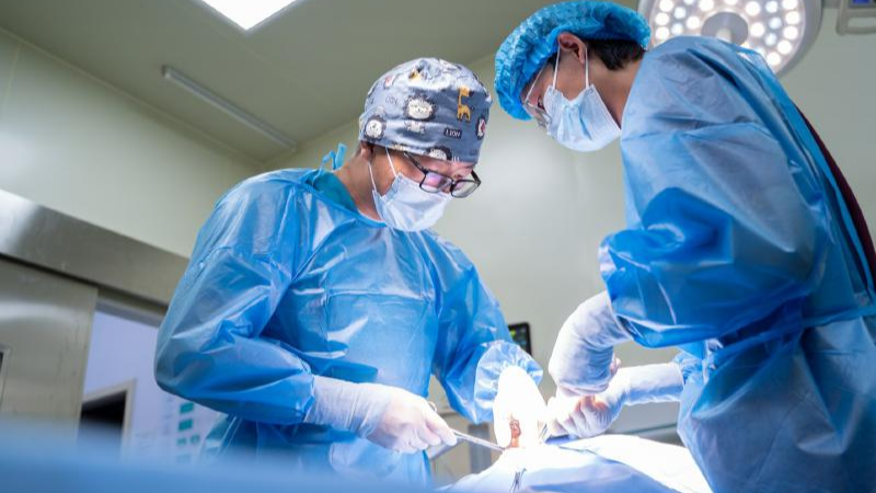 宠物经济3000亿赛道，四川如何以农入局？