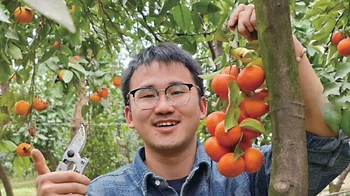 央媒看四川｜李顺心卖柑桔