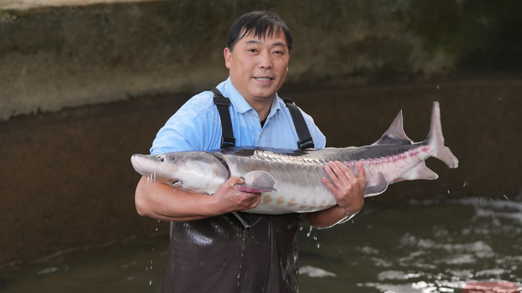 行走记：倾听吧，长江心丨长江禁渔五周年行走报道