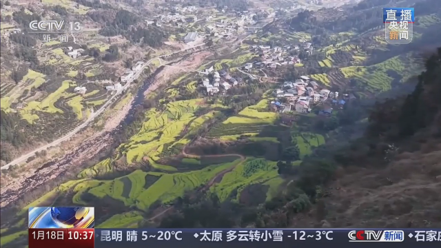 央媒看四川丨宜宾屏山：干热河谷花开早 万亩花海迎客来