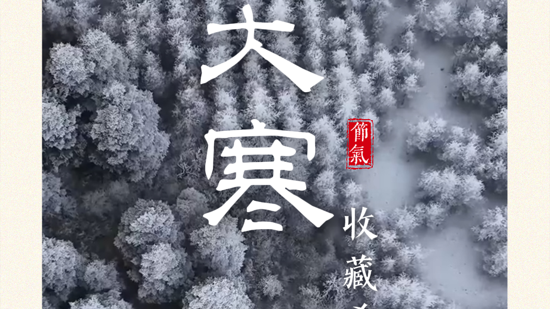 今日大寒丨大地留白处，静待希望破晓