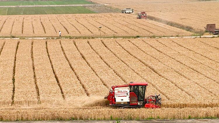 2025年四川经济“成绩单”发布！一组海报带你速览