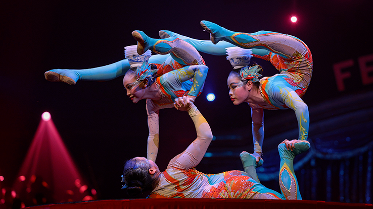 创蒙特卡洛马戏节48年历史纪录！遂宁杂技摘双金