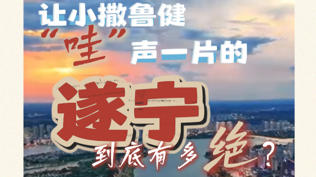 让央视名嘴鲁健撒贝宁惊呼的遂宁，到底有多绝？！