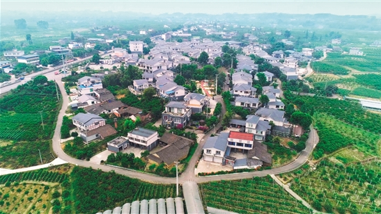 从学生专线到“一元契约” 城乡融合的丹棱故事