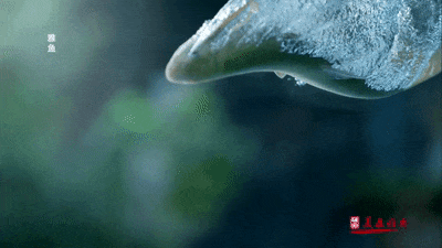 这道顶流美食不光挑锅，还要“耍剑”