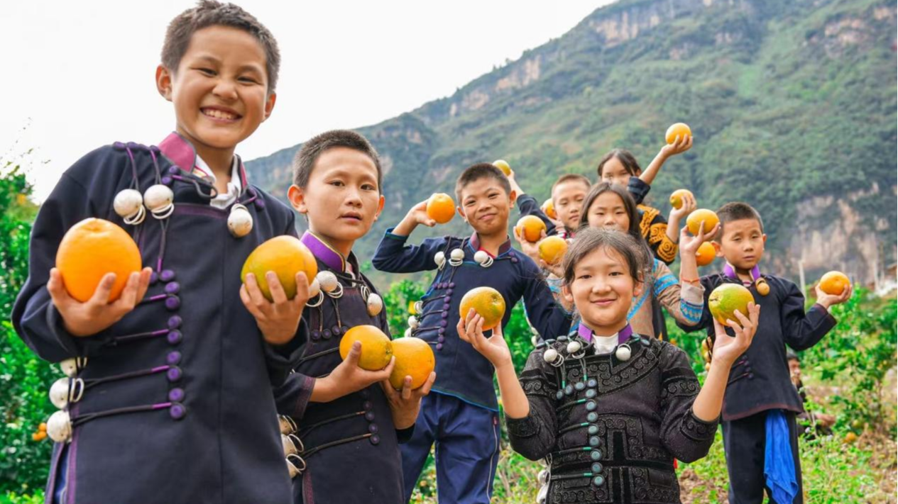 新春走基层丨记者帮张罗，阿布洛哈村首场直播“秀”了啥？