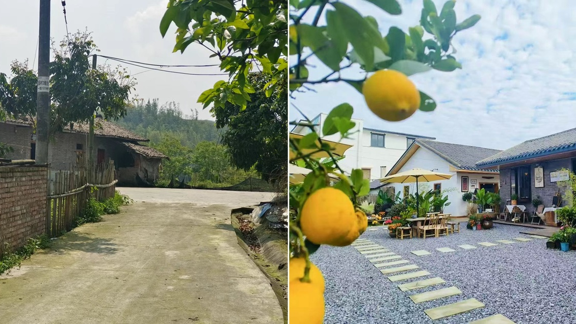 昔日荒草丛生，如今收入过亿：132宗“沉睡”资产如何被盘活？