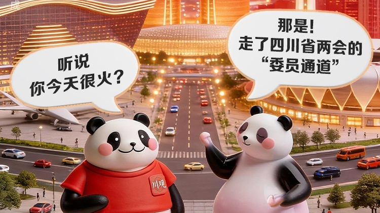 咦，怎么有两只大熊猫上两会？丨蹲会新发现