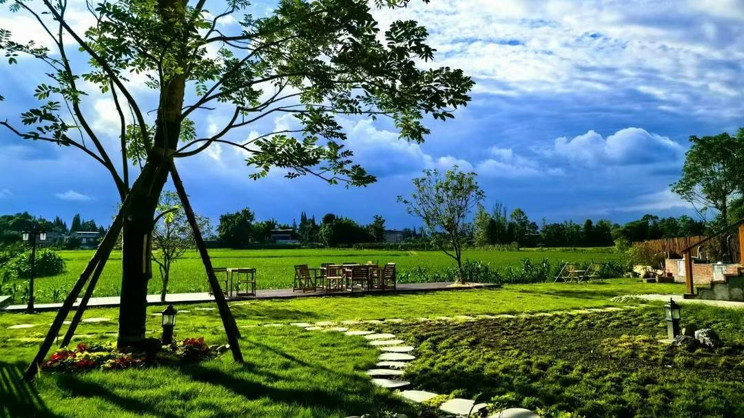 新春走基层丨40万分红现金堆成“山”！ 这个村是如何做到的？