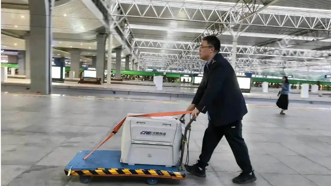 过年宠物怎么安置？这道团圆考题有了更多新答案｜民情瞭望