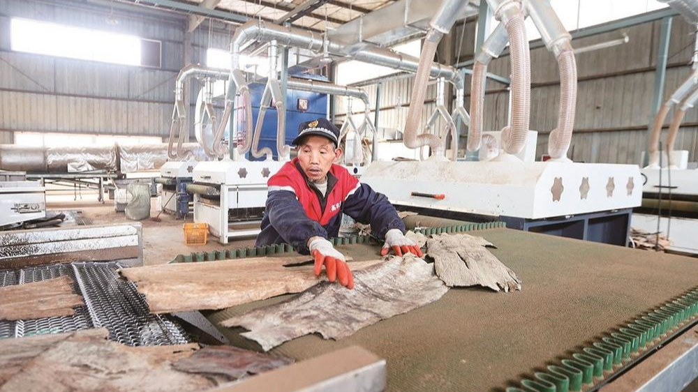 新春走基层丨广元：“藏”在社区里的工厂 “智造”杜仲产品