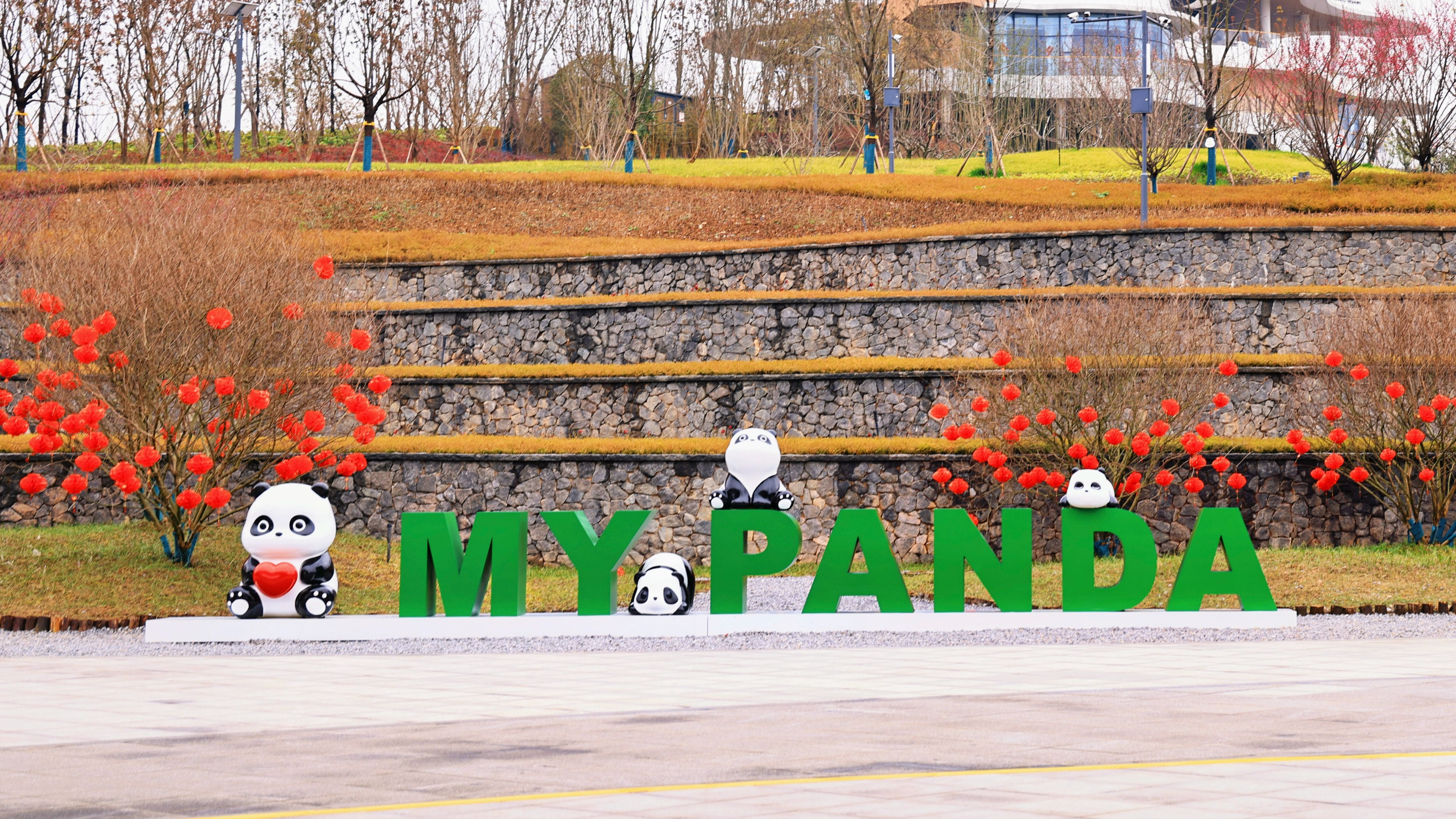 万千气象看四川丨三天营收300万！这座“熊猫家园”如何用IP撬动文旅升级？