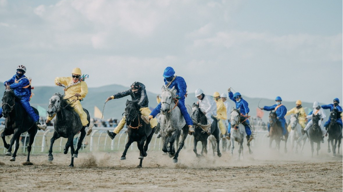 新春走基层丨久马高速激活“马生意”