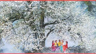 央媒看四川丨雪山下的“非遗”藏寨