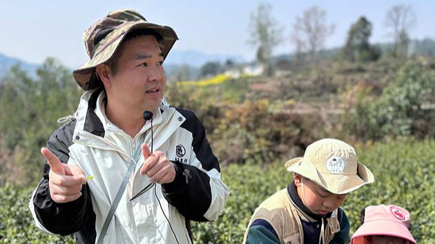 巴中：此心安处是吾乡，此城立业正当时