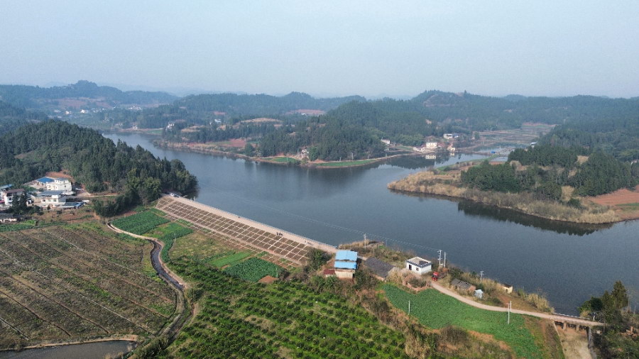 新春走基层丨一河活水来 两岸日子甜——遂宁白家河西眉段的“复苏”故事