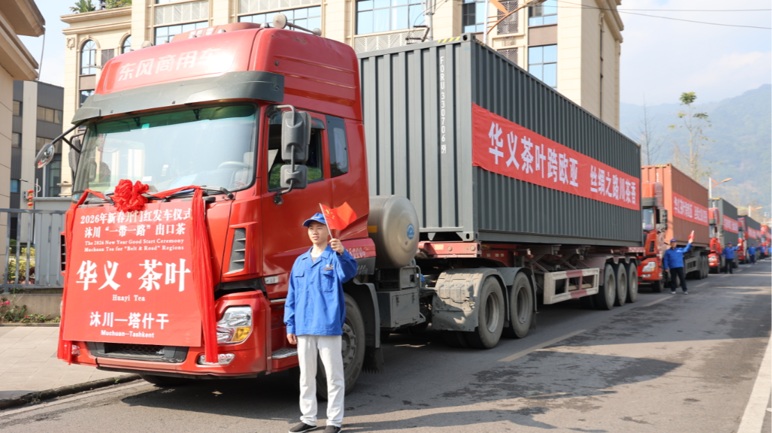 乐山：千万外贸订单发车 沐川茶叶“出海”再提速