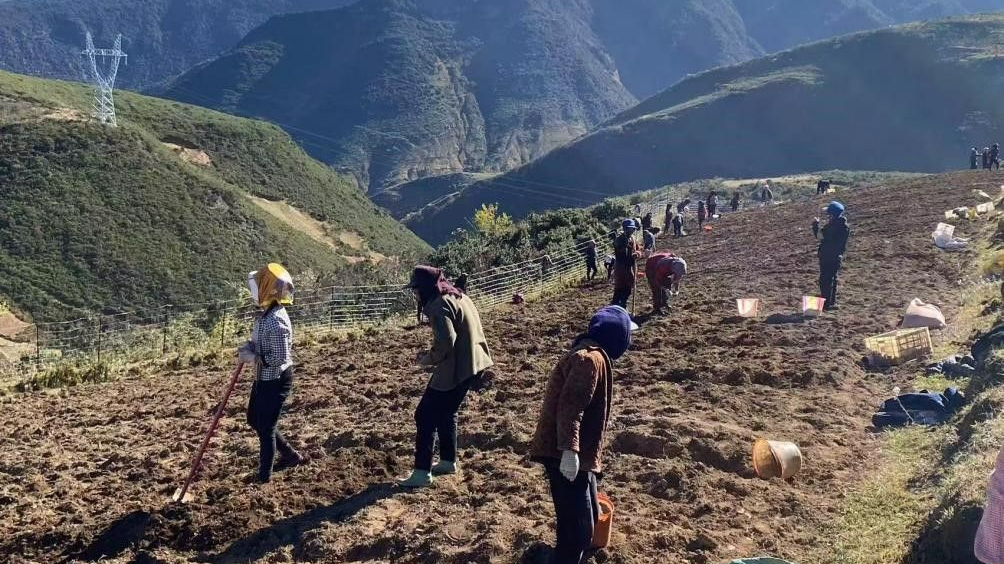 我从基层来丨耿福能：大凉山这把土，能种出“千金方”！