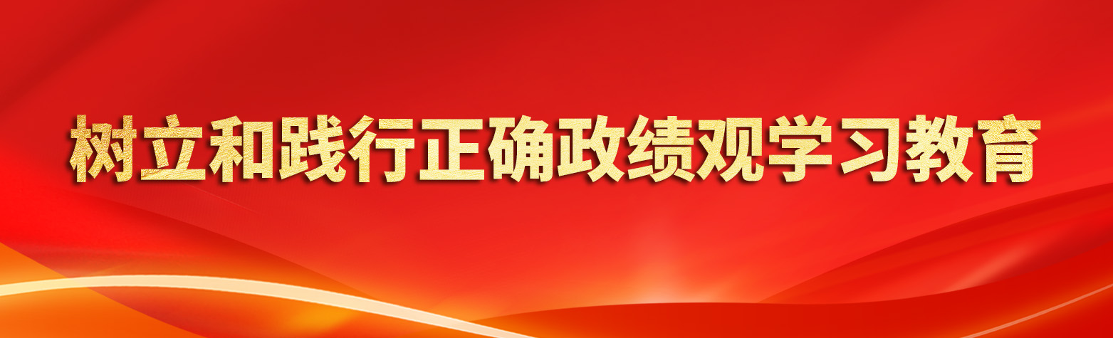 树立和践行正确政绩观学习教育