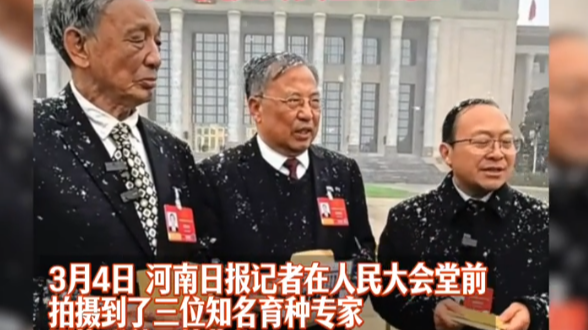 “小麦天团”全国两会再聚首 这次他们拿出了新品种