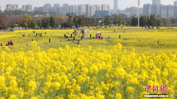 央媒看四川丨成都：民众打卡“开往春天的列车”