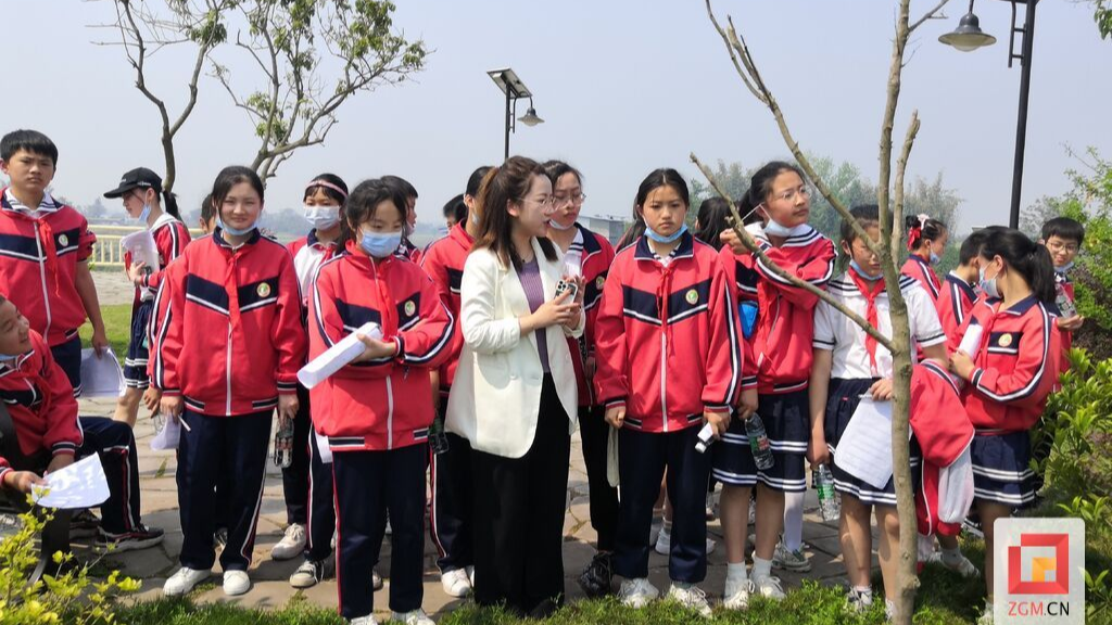 从“一棵树”到“一片林”——探寻全省“岗位学雷锋标兵”集体“杨梅姐姐工作室”背后的故事