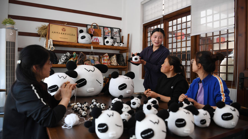 央媒看四川丨这位带着“小马”上两会的全国人大代表，有什么故事？