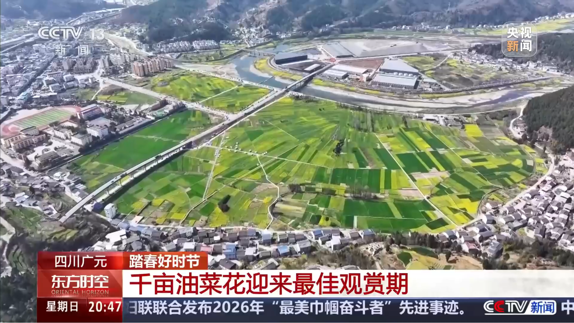 央媒看四川丨踏春好时节·四川广元：千亩油菜花迎来最佳观赏期