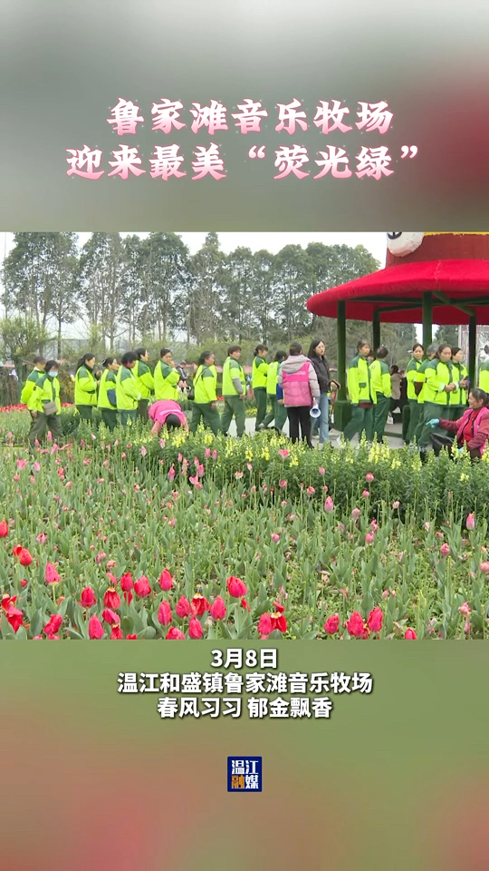 鲁家滩音乐牧场迎来最美“荧光绿”