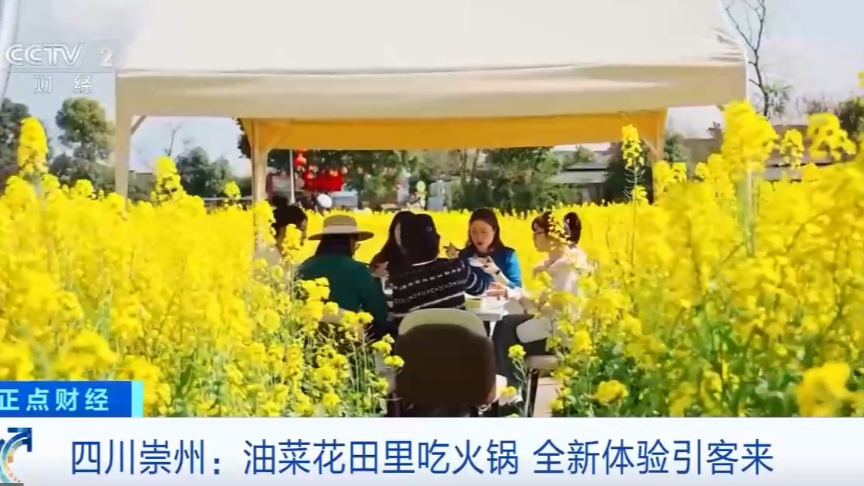 油菜花田里吃火锅 解锁赏花季全新体验