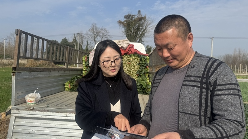 “车轮”上的保单丨深壹度