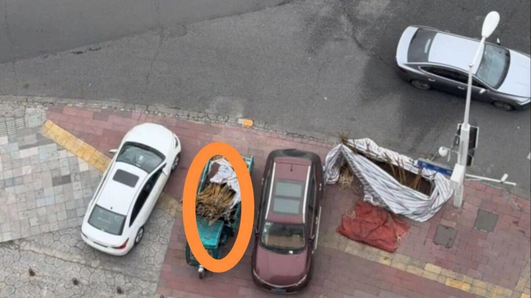 甘蔗都干了，人去哪儿了？寻找成都“甘蔗哥”的结局很暖