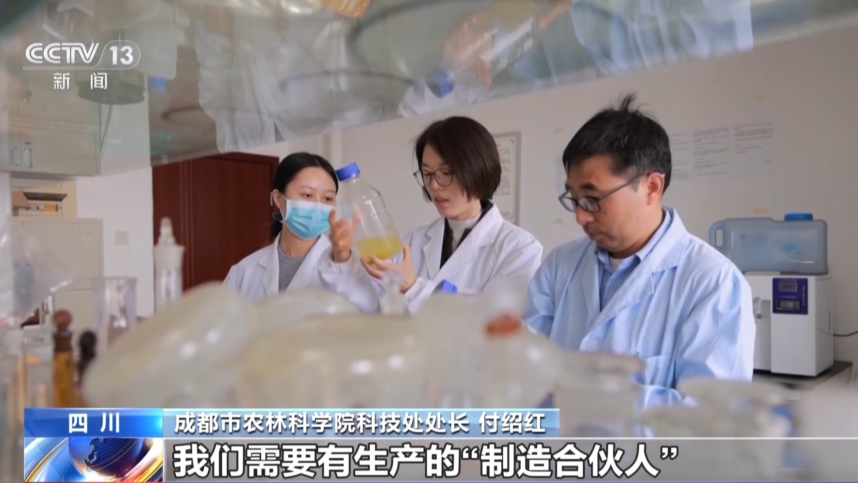 油菜花变身爆款酸奶 实验室里“酿”出新可能