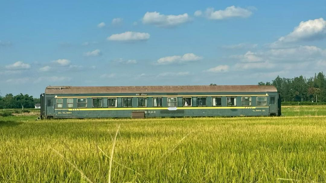 4.6亿次围观的“色彩漫步”，如何变成成都的“春日经济账本”？