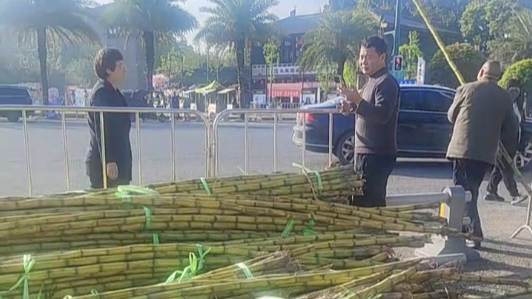 一根甘蔗牵出满城暖：在这里，“被看见”是常态