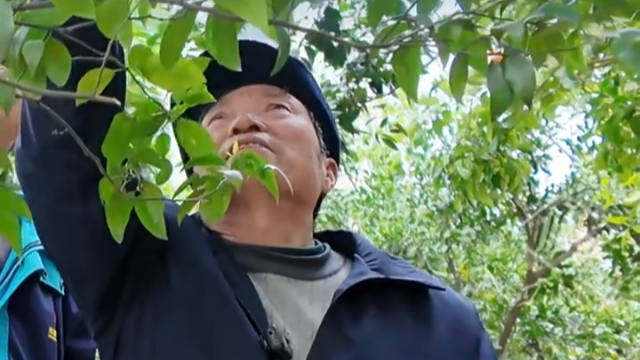 难赴千里高原，81岁烈士遗属摘自家果子、装家乡泥土，托记者带到了林芝替兄长扫墓