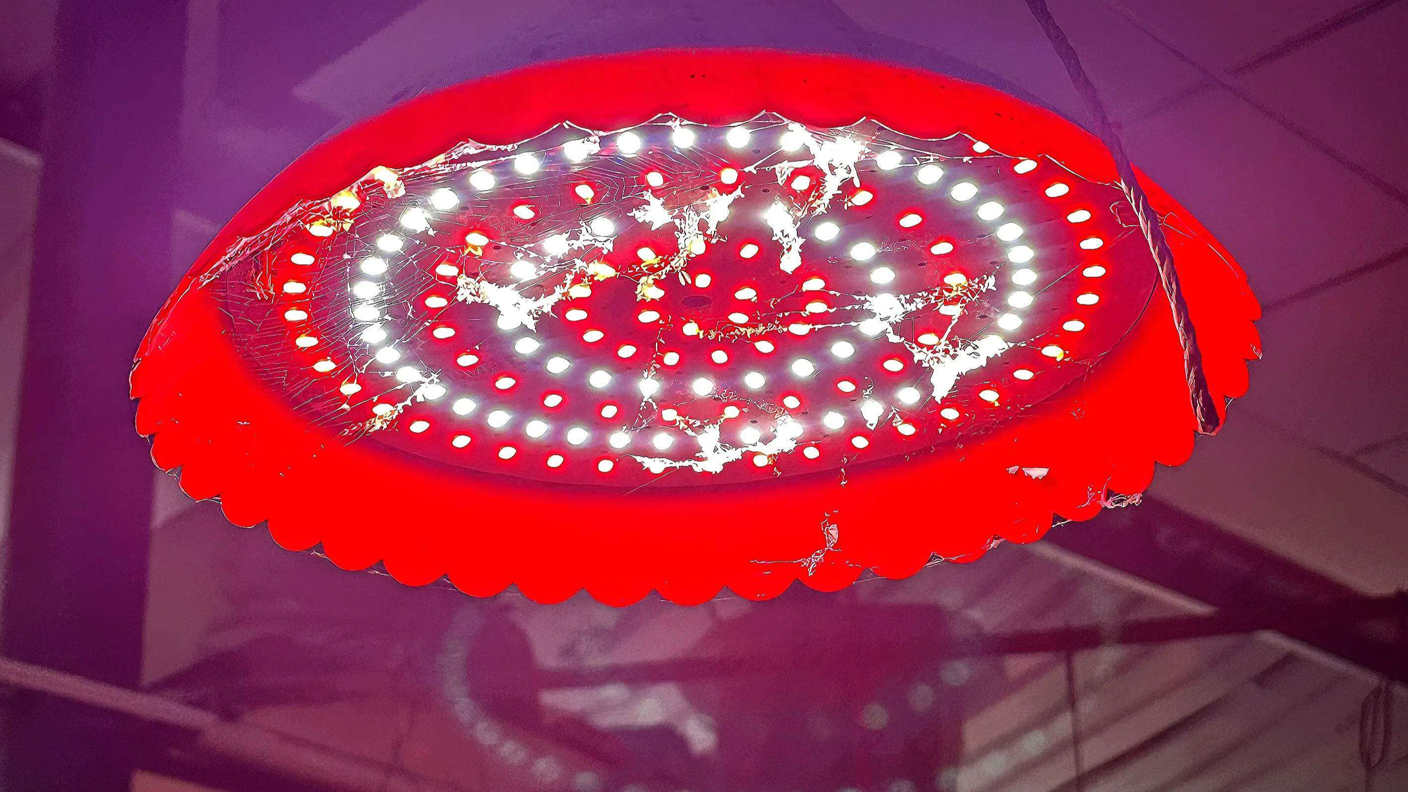 菜市场的生鲜“素颜令”来了！记者实地探访成都市场｜民情瞭望