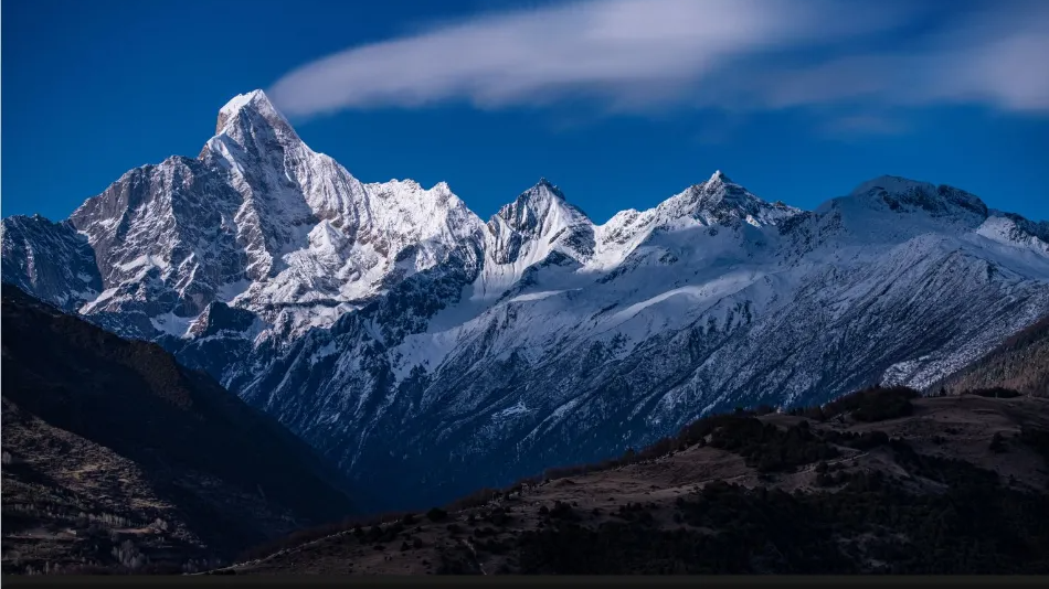 我“地”个四姑娘呀！
