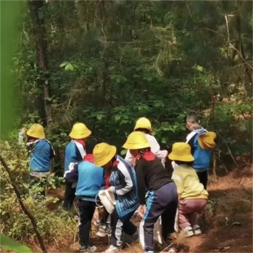 12.png