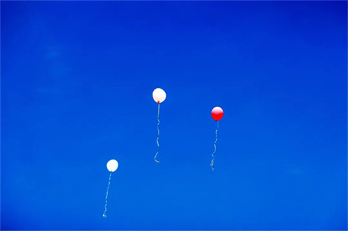 20230829_145659_047.jpg