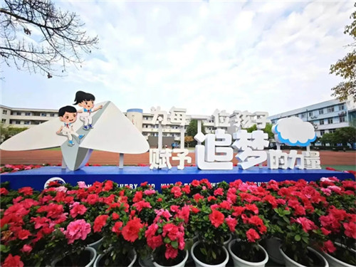 /data/storage/Upload/cditvcn/2025/05/19/eb0c8336-6b52-4f72-91bc-fcecb321aa30.jpg