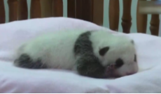 6月20日幸福188