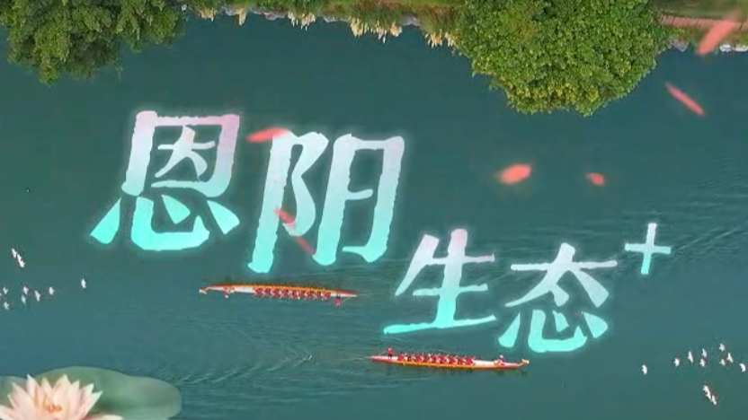 恩阳“生态佳”迈向“生态+”