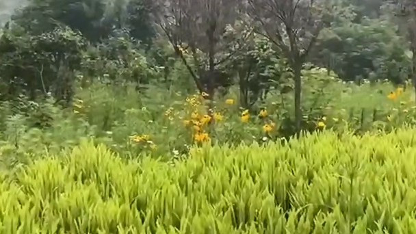 擦亮乐山乐水底色，谱写生态文明新篇