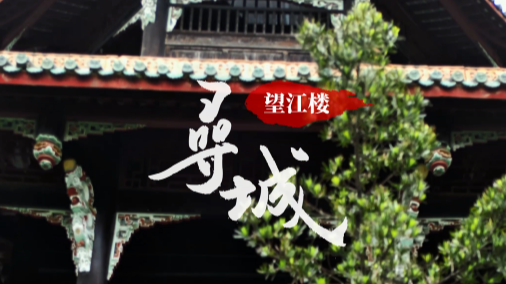  《寻城》——望江楼