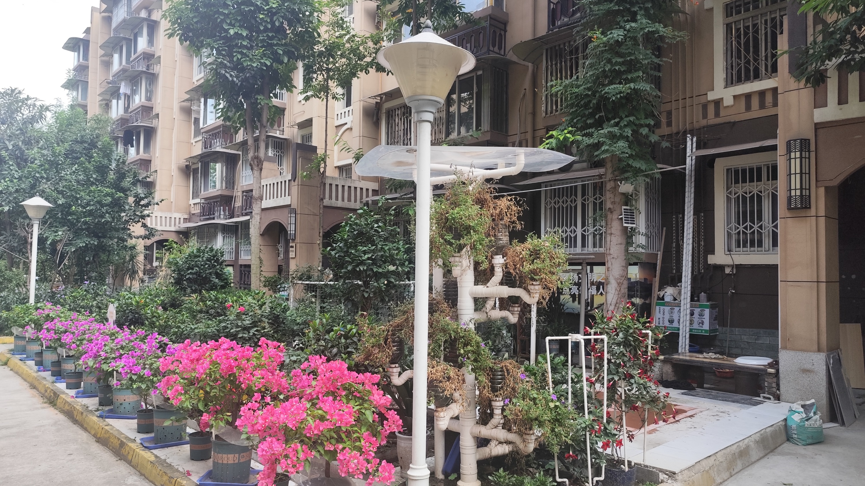 肖家河街道“肖+最美”计划激活社区“微治理”
