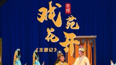 戏苑花开，恩阳“戏窝子”蓬勃兴盛