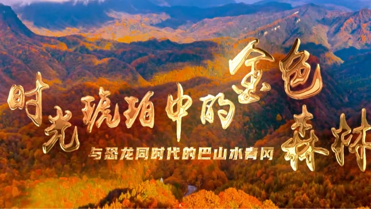 时光琥珀中的金色森林