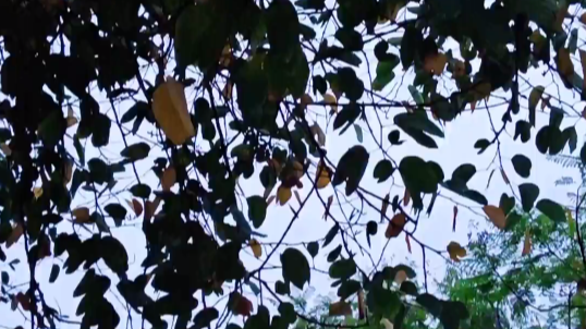 涪江慢调，一日烟火